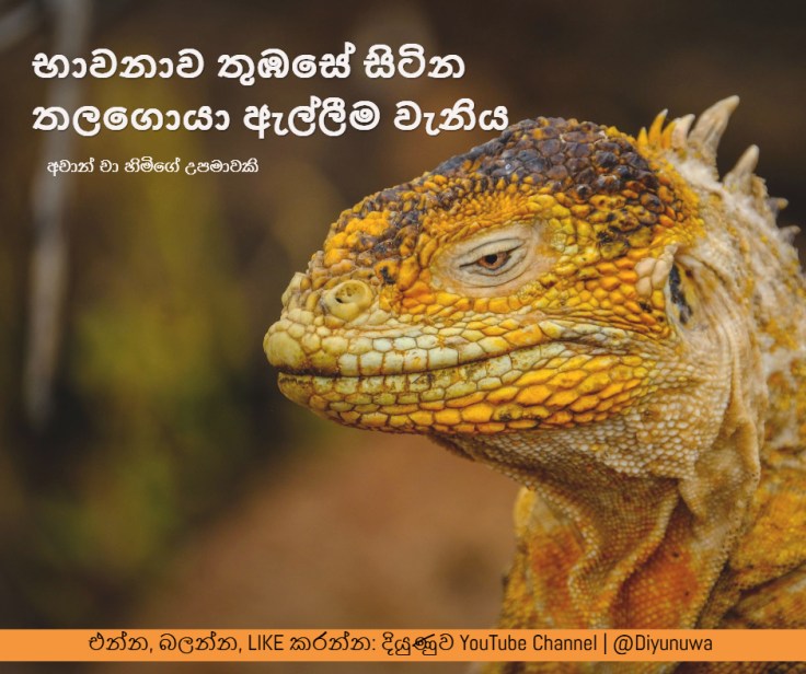 AchanCha.facebook-photo