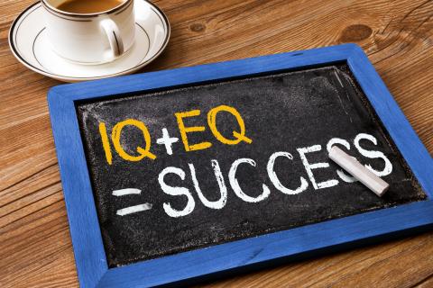IQ+EQ equals success Source RobertHalf UK