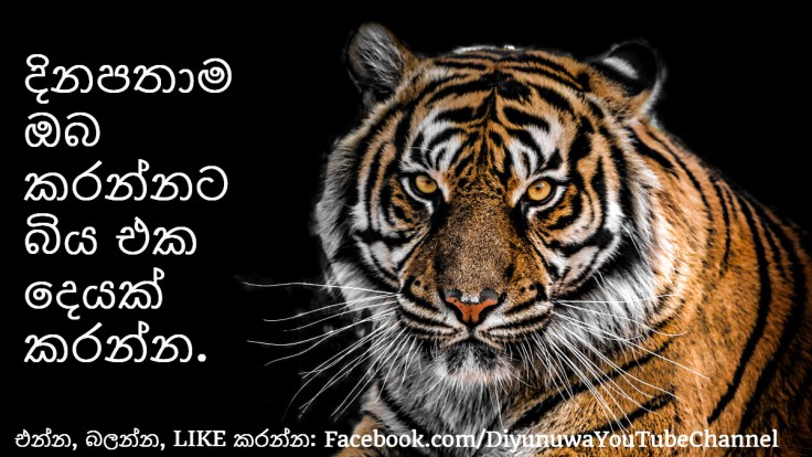 Diyunuwa.stencil.twitter